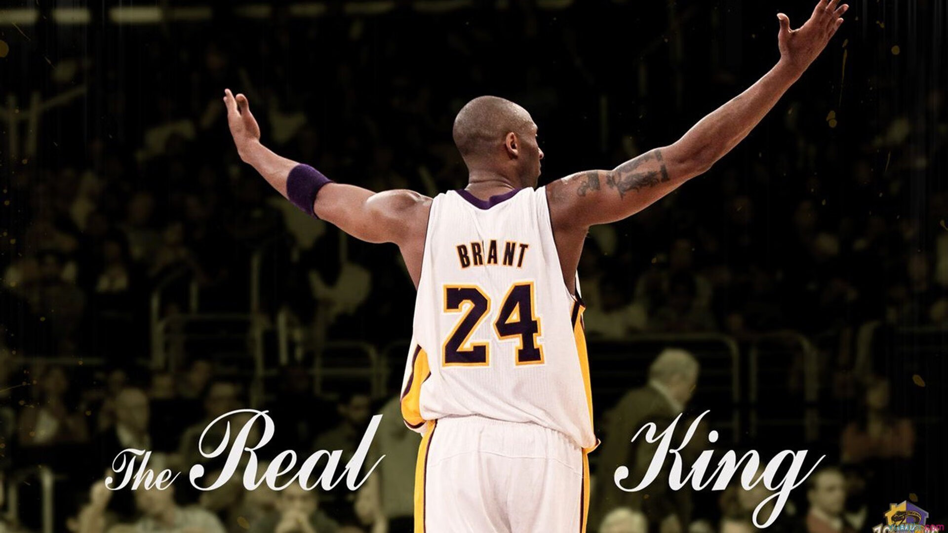 九游官网-胜利背后：冠军车手的艰辛训练日常，胜利队车叫什么